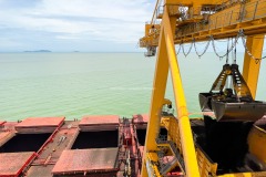 Manjung